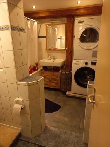 een badkamer met een wastafel en een wasmachine bij Alpenblick Monteurzimmer und Ferienwohnung 