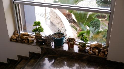 a window sill with a bunch of plants on it at Hotel Labella Bergama in Bergama