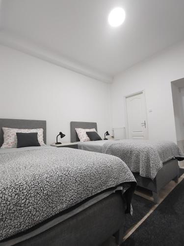Cama o camas de una habitación en Apartman Centar Ivanjica
