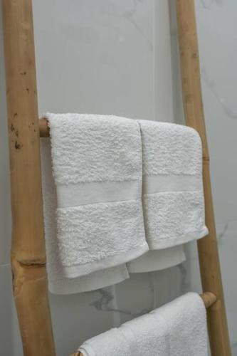 JV Luxury Apartment Acropolis