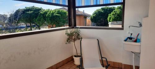 een badkamer met een raam en een plant bij Appartamento Bellaria-Igea Marina con terrazza in Bellaria-Igea Marina