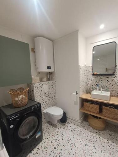 une salle de bain avec machine à laver et toilettes dans l'établissement Studio centre Cauterets, à Cauterets