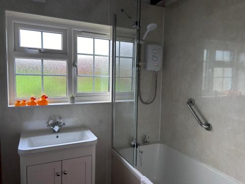 Ванна кімната в Ty-Newydd Cottage