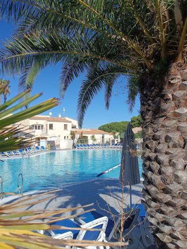 studio rénové dans résidence de vacances avec grande piscine chauffée, parking et terrasse