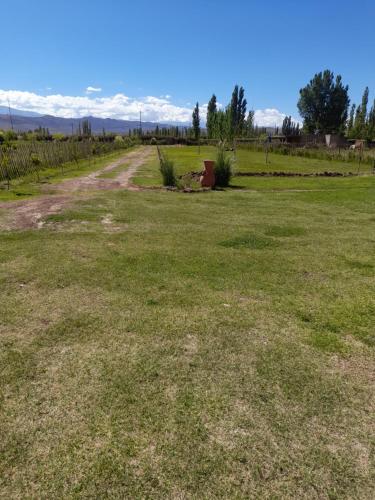 El gavion – Photos 3