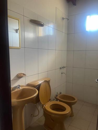 a bathroom with a toilet and a sink at PULAKI Cabañas en Animana in Animaná