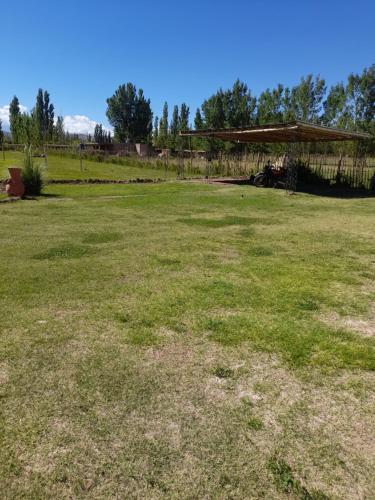 El gavion – Photos 4