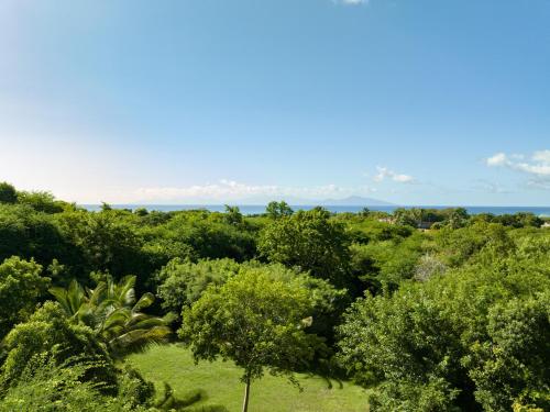 uma vista aérea de uma floresta com árvores e o oceano em Villa Bwacajou em Beaurenom