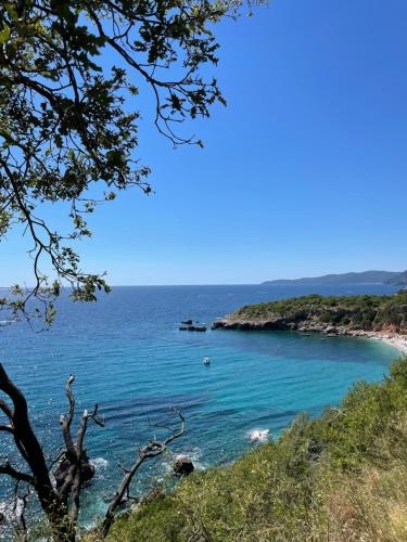 uma vista para uma praia com água azul em Irish Apartment Becici em Budva