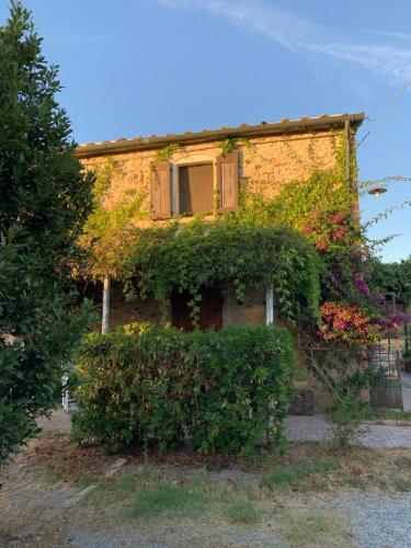 Podere Girasoli