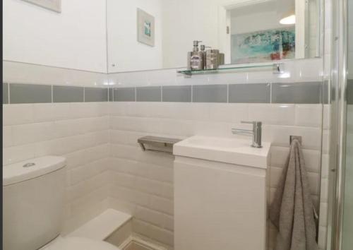 a white bathroom with a toilet and a sink at Sandown - 2 minutes walk to the Downs, Restaurants Bars & Beaches in Torquay