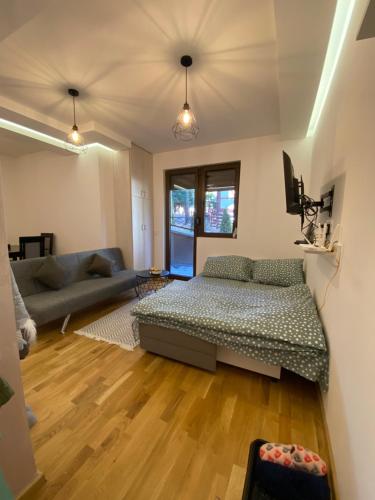 a large living room with a couch at Studio Snežana in Zlatibor