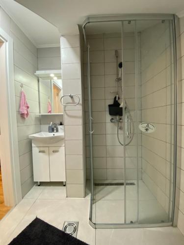 a bathroom with a glass shower and a sink at Studio Snežana in Zlatibor