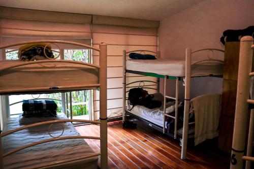 a room with two bunk beds and a window at Hostal Cuija Coyoacan Berlin 268 Coyoacan in Mexico City