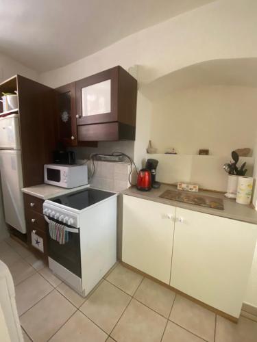 une petite cuisine avec une cuisinière et un micro-ondes dans l'établissement Joli Appart 29m2 en Vieille Ville Menton 2 mins de la mer, à Menton