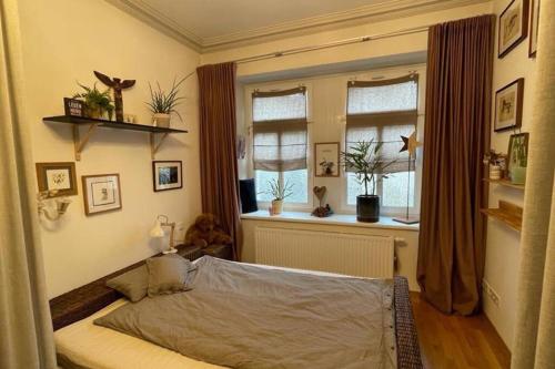 ein Schlafzimmer mit einem Bett und zwei Fenstern in der Unterkunft Gemütliche Wohnung in Gohlis in Leipzig