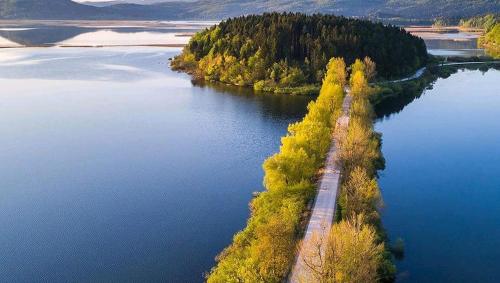 Gallery image of Rest apartment Cerknica in Cerknica
