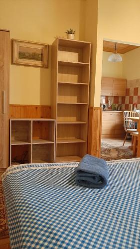 ein Schlafzimmer mit einem Bett mit einer blau-weißen karierten Decke in der Unterkunft Guest House Vila Frýdštejn in Frýdštejn