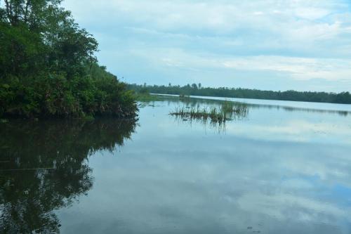 Bolgoda Nature Resort – Photos 3