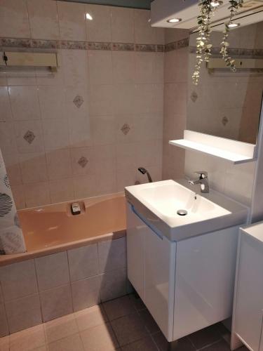 une salle de bain avec un lavabo et une baignoire dans l'établissement Les Terrasses de Marcq, à Marcq-en-Barœul