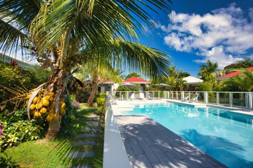 a palm tree next to a swimming pool at Hôtel & Villa Le Cocotel in Saint-François