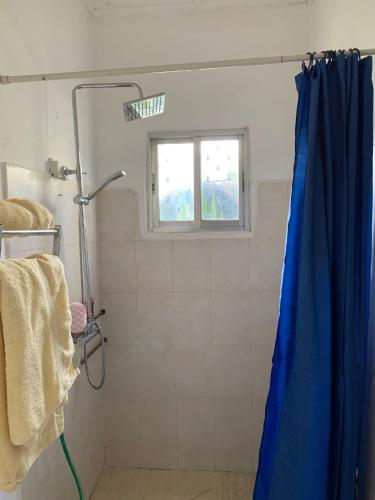 a shower with a blue shower curtain in a bathroom at Banana Republic in Old Yundum