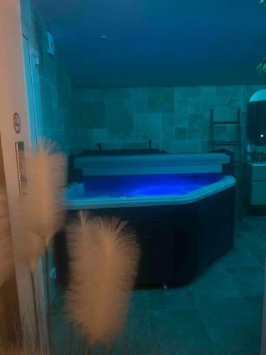 Fotografie z fotogalerie ubytování Eden palm suite & spa v destinaci Berre-lʼÉtang
