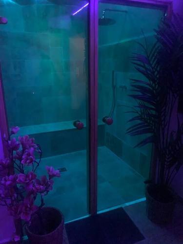 La salle de bains est pourvue d'une douche en verre avec des lumières violettes. dans l'établissement Eden palm suite & spa, à Berre-lʼÉtang