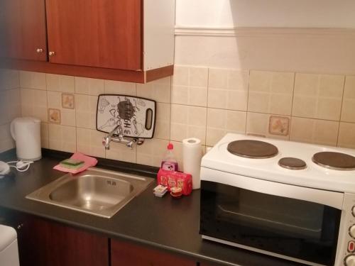 um balcão de cozinha com um lavatório e um fogão em Dimitris em Trikala