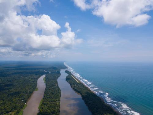 una vista aérea de la playa y del océano en Laguna Lodge, en Tortuguero