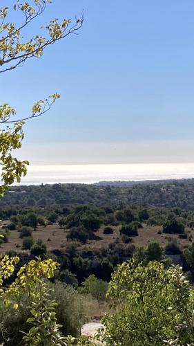 Paesaggio naturale nelle vicinanze del bed & breakfast