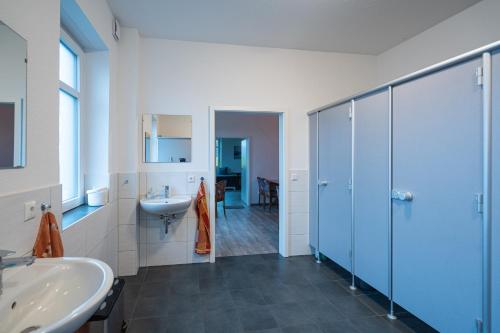ein Bad mit einem Waschbecken, einer Dusche und einem WC in der Unterkunft Stellmann’s Gästehof in Bruchhausen-Vilsen