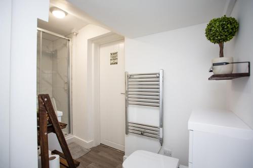 a white bathroom with a toilet and a shower at Stephenson's Lodge - Stylish One Bed - City Centre in Sunderland