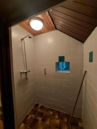 bagno con doccia e soffitto di De Linde, boerderij in Drenthe voor 15 tot 30 personen a Linde