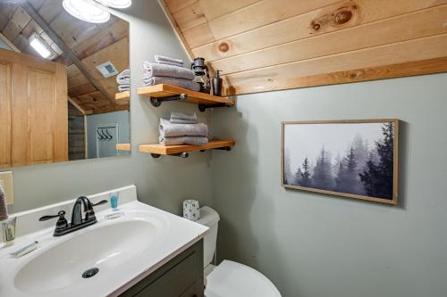 a bathroom with a sink and a toilet at Bryson City Cabin Deck and Mountain-View Hot Tub in Nantahala