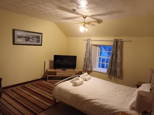 1 dormitorio con 1 cama y TV de pantalla plana en Queens Hotel en Stonehaven