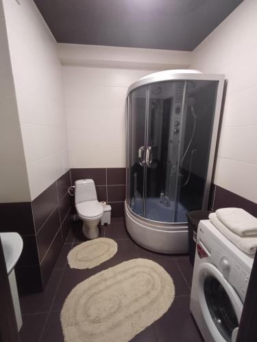 y baño con ducha, aseo y lavamanos. en Apartament, en Chişinău