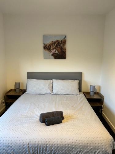 a bedroom with a large bed with a dog on it at The Heilan' Coo Apartment in Helensburgh