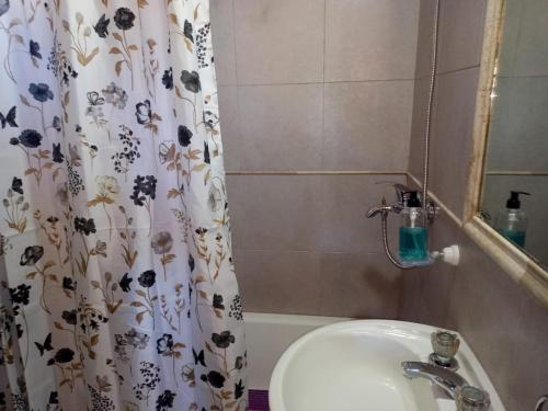 uma casa de banho com um lavatório e uma cortina de chuveiro em El Llanqui em San Carlos de Bariloche