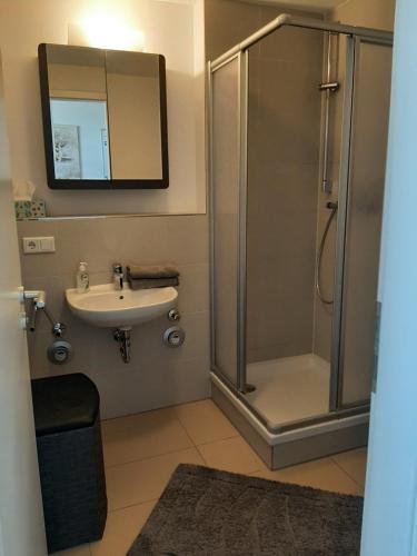 La salle de bains est pourvue d'une douche et d'un lavabo. dans l'établissement Appartement mit Penthaus Charakter, à Fürth