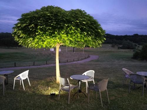 a group of tables and chairs under a tree at Grande chambre privée 18 m2 dans maison proche Gare et Nancy Thermal in Tomblaine