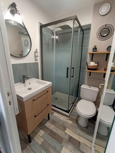 une salle de bain avec une douche, des toilettes et un lavabo dans l'établissement Studio Cabourg - Home-Varaville avec jardin, à Varaville