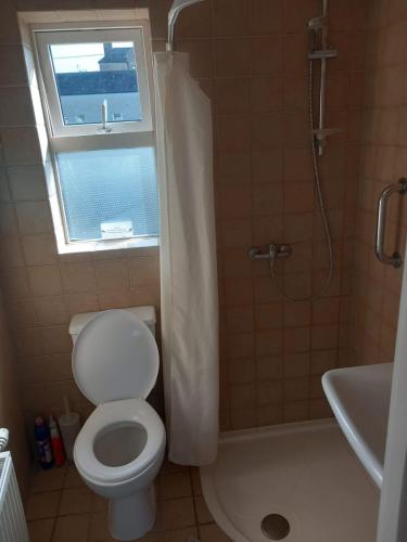 a bathroom with a toilet and a shower and a window at 33B Steepleview in Trim