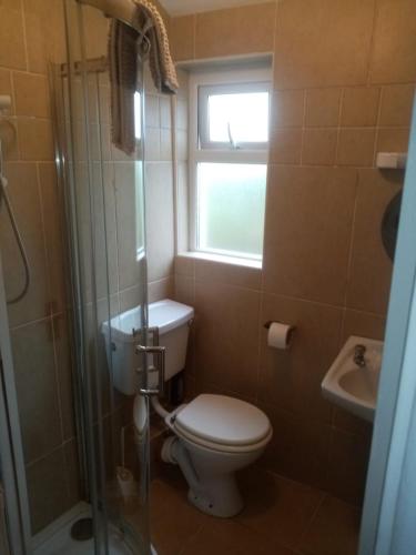 uma casa de banho com um WC, uma janela e um chuveiro em 33 Steepleview em Trim