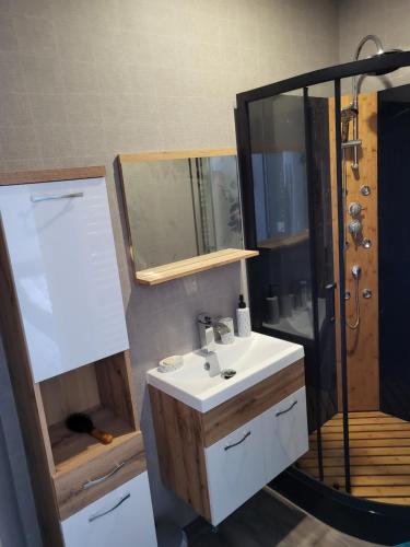 W łazience znajduje się umywalka i prysznic. w obiekcie BONHEUR w mieście La Souterraine
