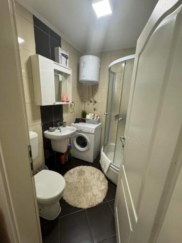 La petite salle de bains est pourvue de toilettes et d'un lavabo. dans l'établissement Apartman ARENA Doboj, à Doboj