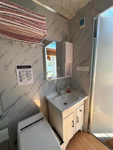 ein kleines Bad mit einem Waschbecken und einem WC in der Unterkunft The Petite Suite in Havelock