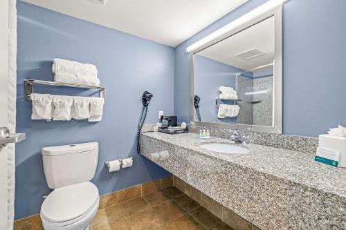 a bathroom with a toilet and a sink and a mirror at Quality Inn & Suites Near Fairgrounds Ybor City in Tampa