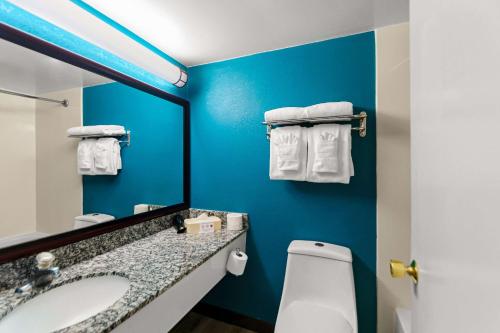 a bathroom with a sink and a mirror and a toilet at Clarion Inn Falls Church- Arlington in Falls Church