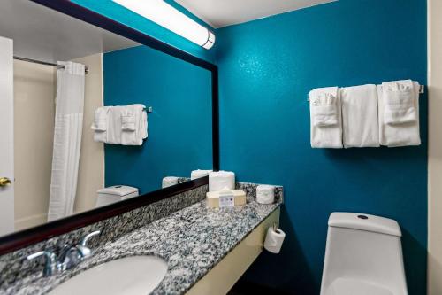 a bathroom with a sink and a mirror and a toilet at Clarion Inn Falls Church-Arlington in Falls Church